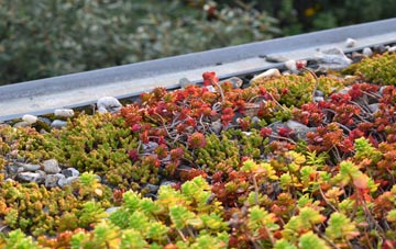 the cost of Mountain Ash green roof installation