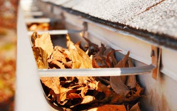 Mountain Ash gutter cleaning companies