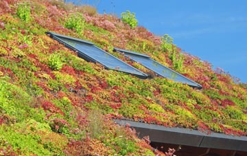 Mountain Ash living roof systems