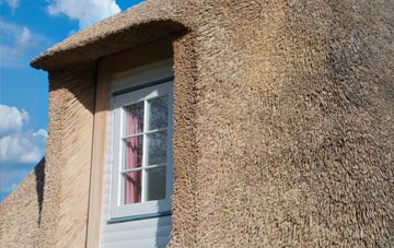 Mountain Ash thatch roof disadvantages