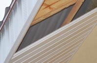 rated Mountain Ash soffit repair companies
